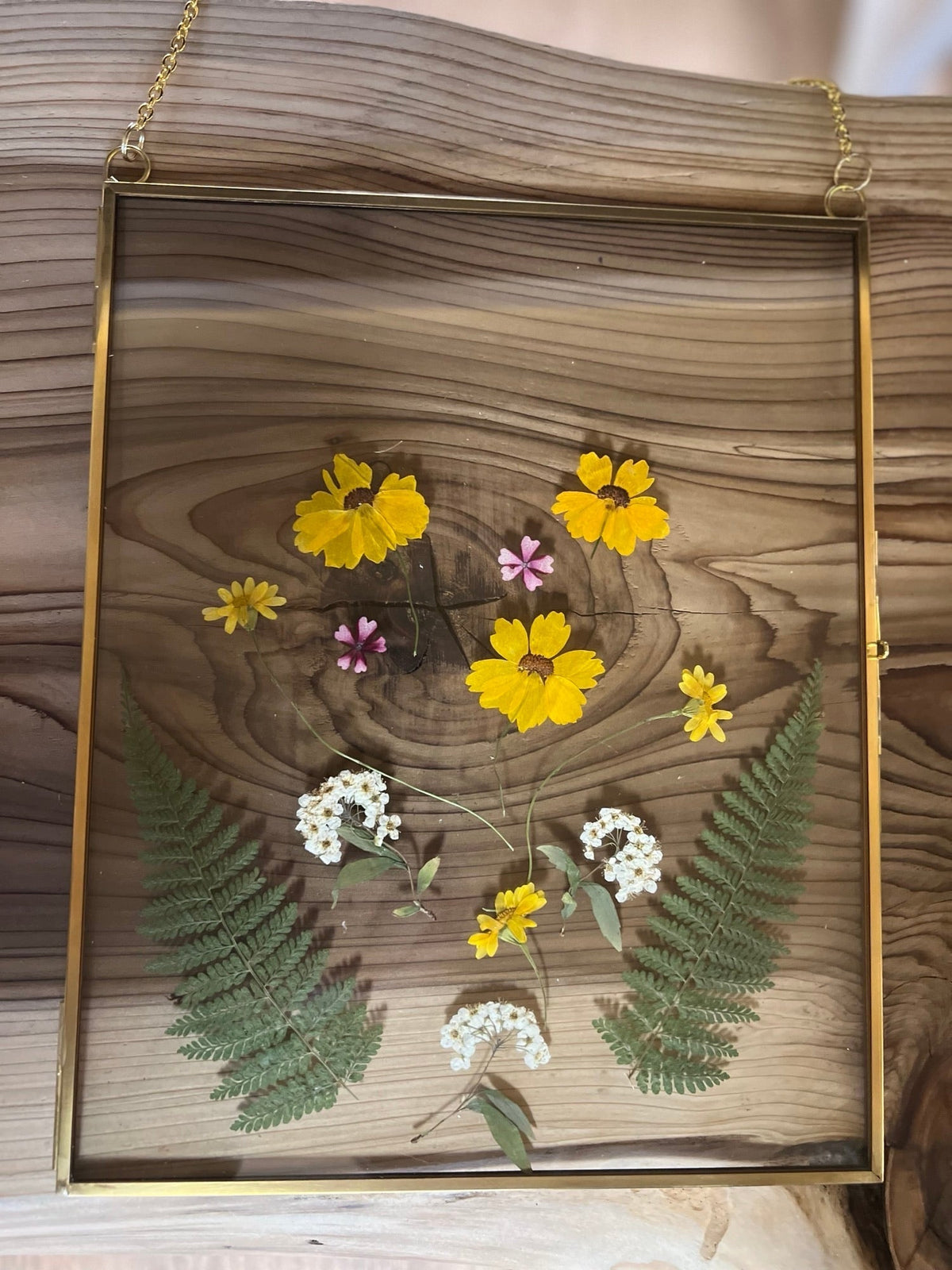 Explore the Flowers