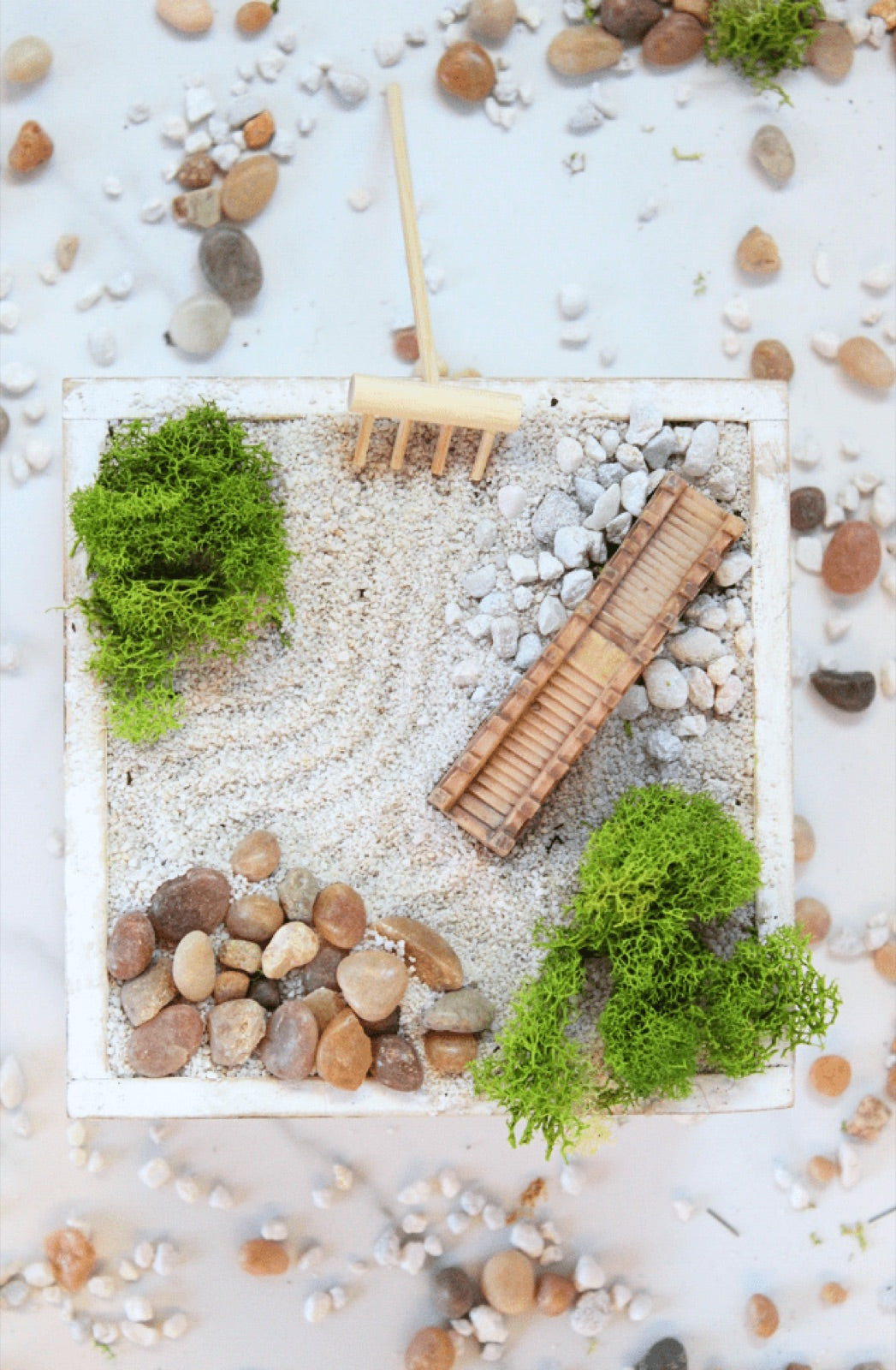 Zen Garden Workshop