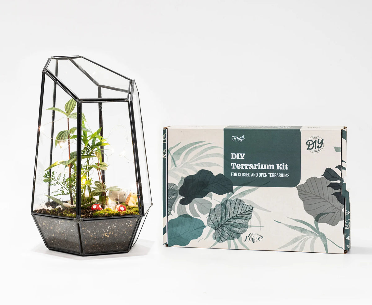 Terrarium Workshop Los Angeles