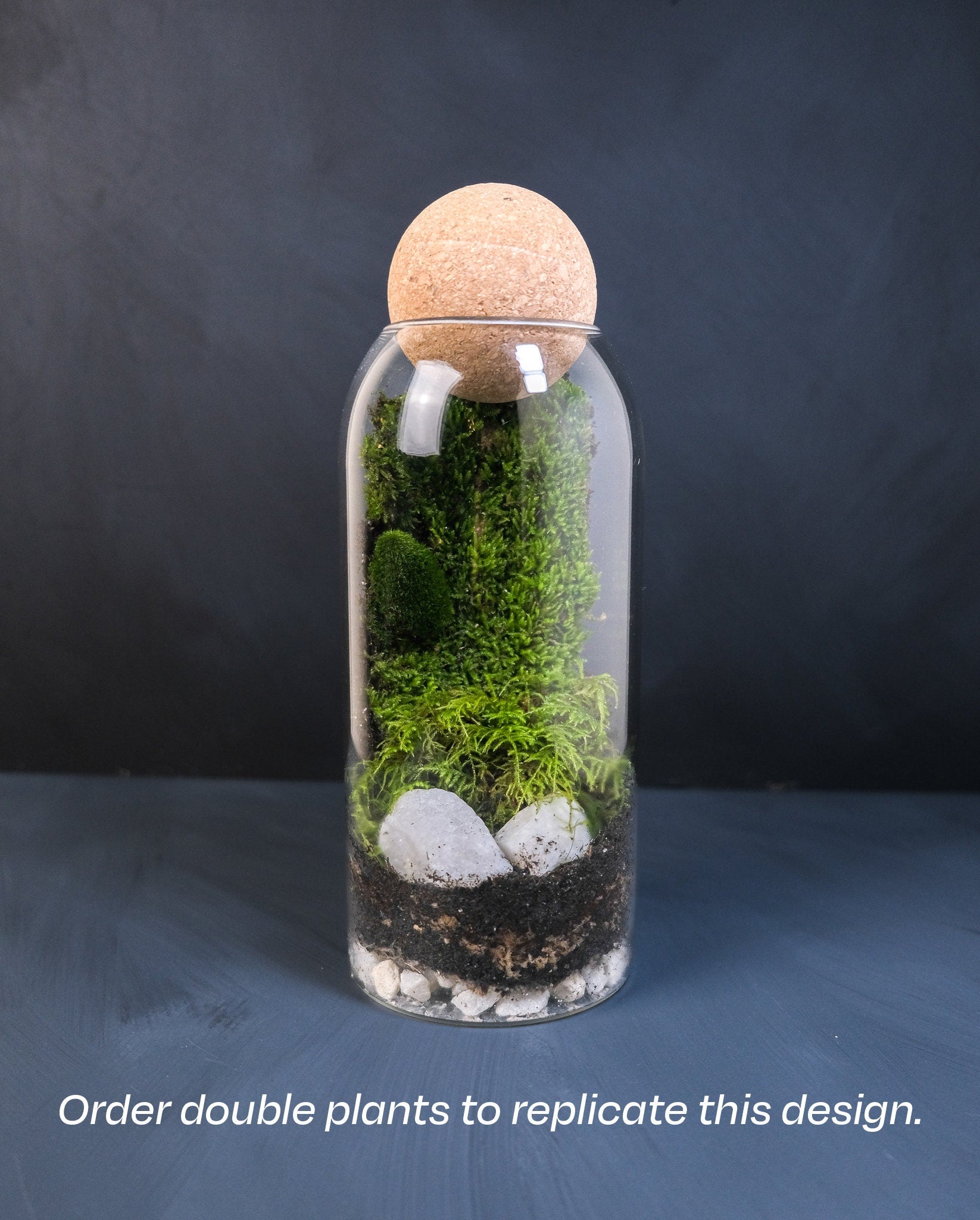 A closed terrarium filled with lush green moss, plants, and decorative elements, perfect for displaying and appreciating a self-contained mini-ecosystem, Best Selling Craft Kits,Closed Terrarium Kits,Employee Appreciation Gifts,Plant Lover Gifts,Gifts Under $100,Corporate Branded Gifts,Gifts for Grandma,Craft Kits for Adults.