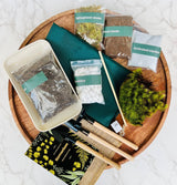 A geometric terrarium kit with live plants and DIY home craft supplies, including an elegant glass container, living moss and tropical plants, soil mix, decorative pebbles, and landscaping tools., Closed Terrarium Kits,Employee Appreciation Gifts,Plant Lover Gifts,Gifts Under $100,Corporate Branded Gifts,Gifts for Grandma,Craft Kits for Adults