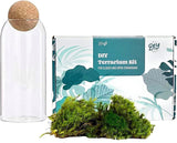 DIY closed terrarium kit with live moss, tropical plants, and glass container for creating your own miniature ecosystem, Best Selling Craft Kits,Closed Terrarium Kits,Employee Appreciation Gifts,Plant Lover Gifts,Gifts Under $100,Corporate Branded Gifts,Gifts for Grandma,Craft Kits for Adults