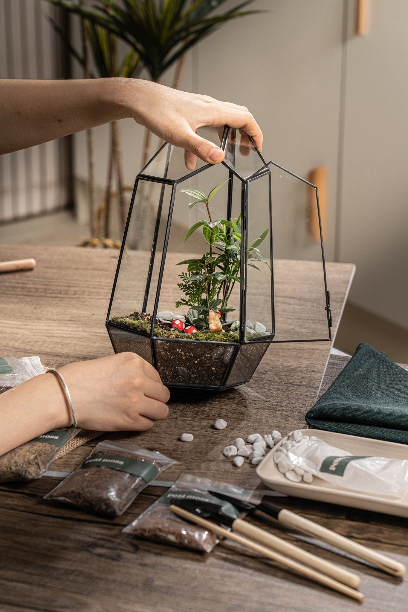 Large enclosed geometric glass terrarium container with live plants and crafting supplies on a wooden table, Perfect Terrarium Kit for Arts and Crafts, Best Selling Craft Kits, Closed Terrarium Kits, Employee Appreciation Gifts, Plant Lover Gifts, Corporate Branded Gifts, Gifts for Grandma, Craft Kits for Adults.