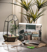 large terrarium kit, large plant terrarium