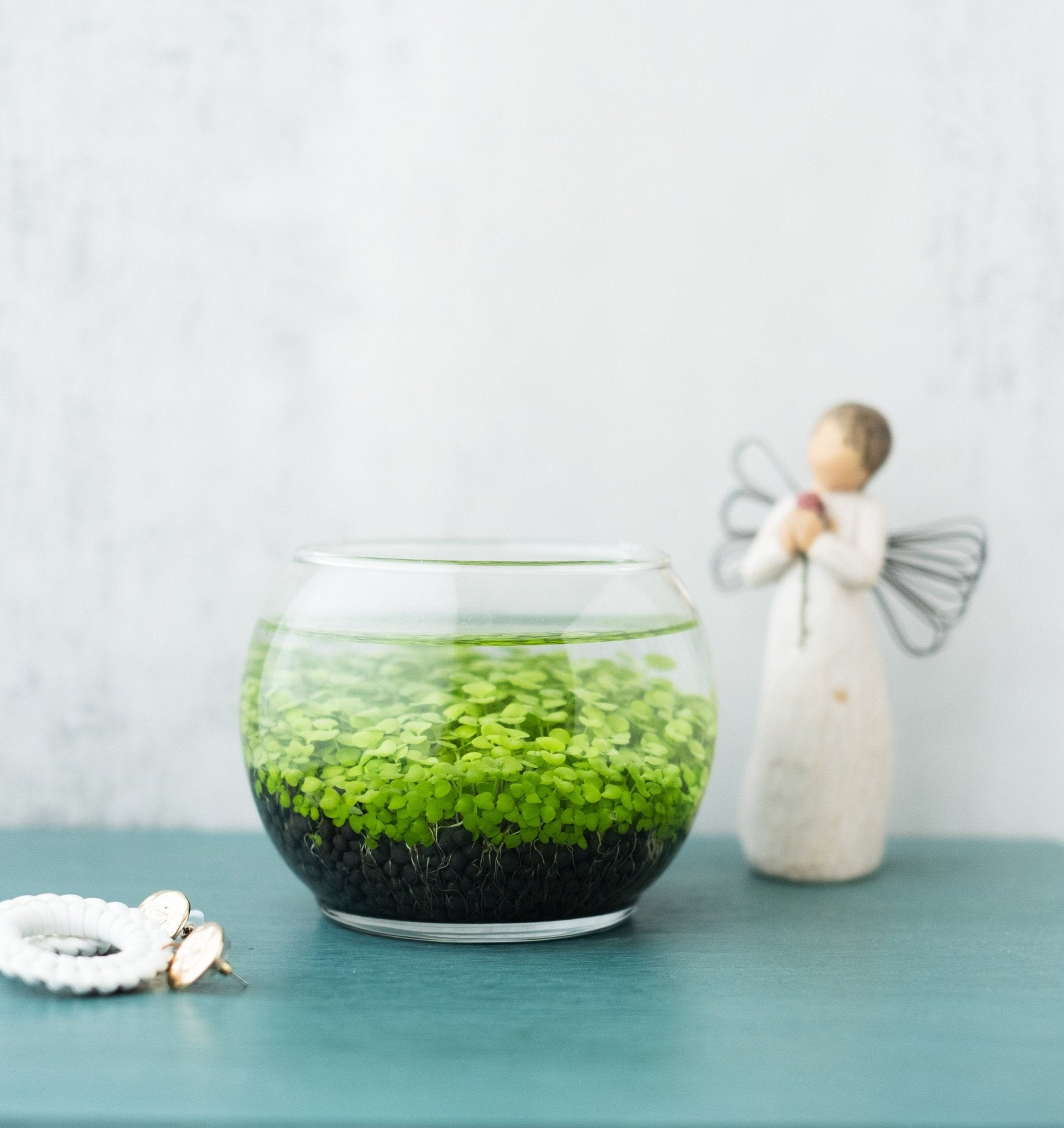 A decorative glass container filled with green aquatic plants, creating a miniature underwater garden, with a white ceramic figurine and shells in the background, showcasing a beautiful DIY water terrarium kit for arts and crafts, craft kits, closed terrarium kits, employee appreciation gifts, plant lover gifts, gifts under $100, corporate branded gifts, gifts for grandma, and craft kits for adults.