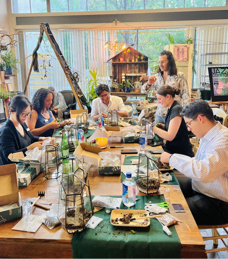 Participants in a leadership retreat are building terrariums during workshop.
