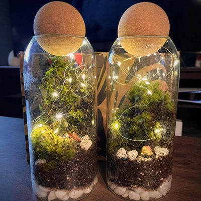 Medium Glass Jar