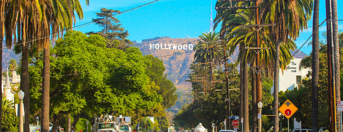 Tree-lined street in Los Angeles with the Hollywood sign visible on a hillside in the distance.