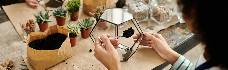 Self Sustaining Terrarium Workshop