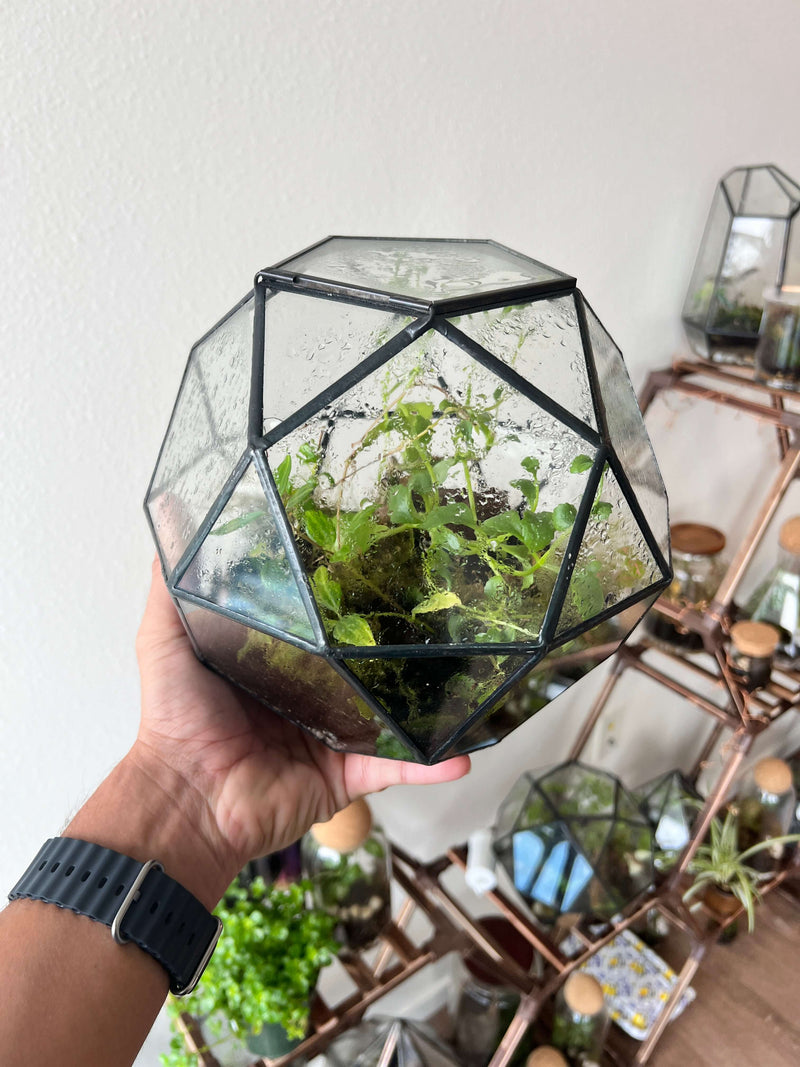 Arts & Craft Class, birthday party activity, private craft, date, Make a Terrarium in a Sphere Geometric Jar - KraftStories