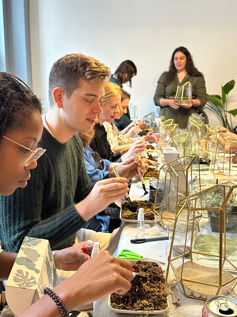 terrarium workshop host