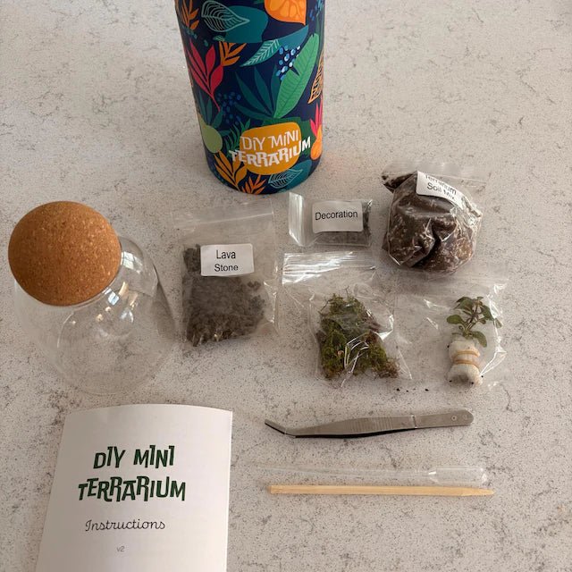 Arts & Craft Class New York, birthday activity, date idea, team building New York, Make a Mini Terrarium - KraftStories