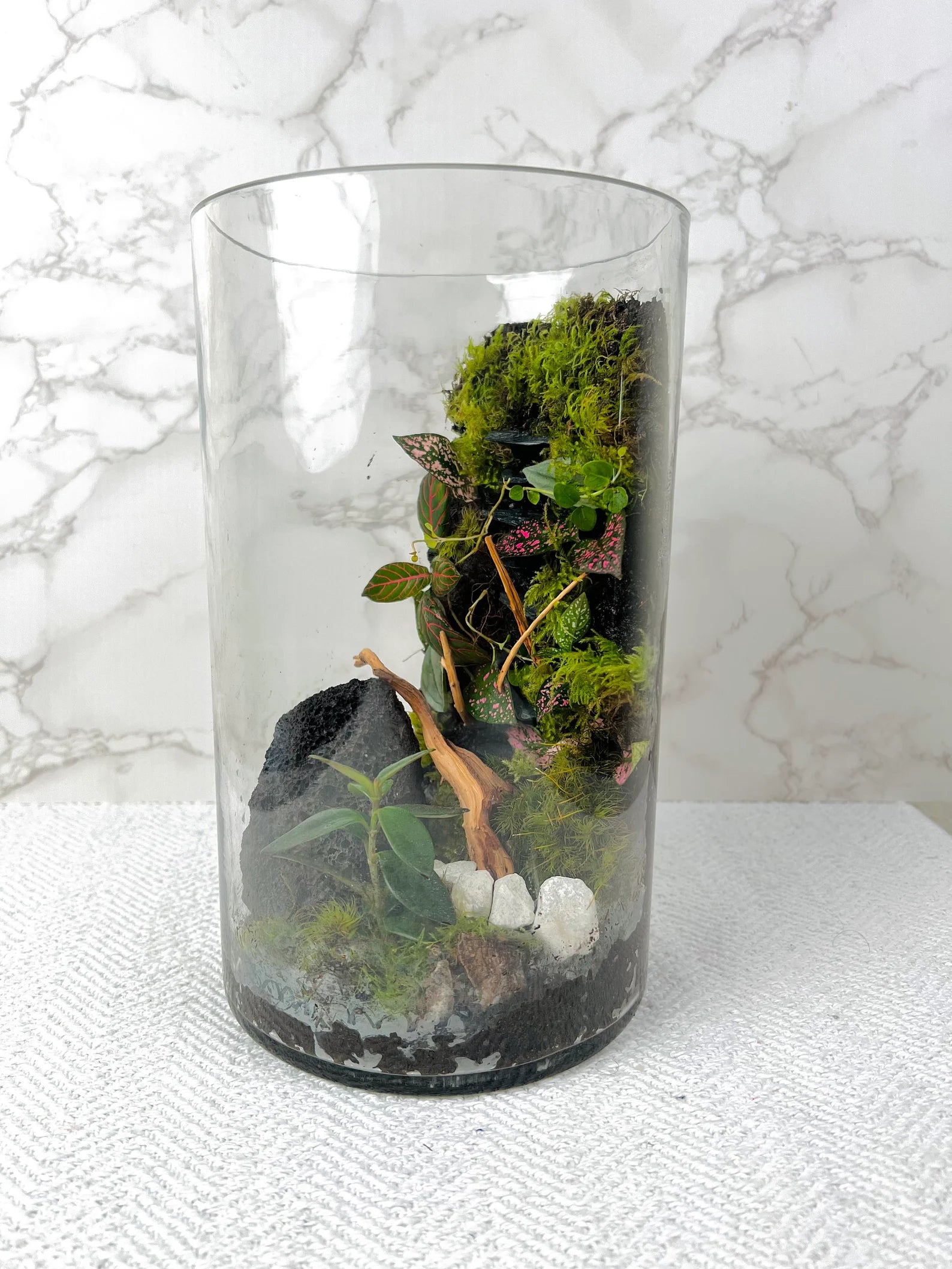 Modeling Soil Mix for Terrariums