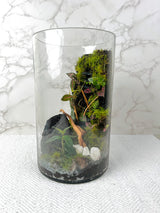 Modeling Soil Mix for Terrariums
