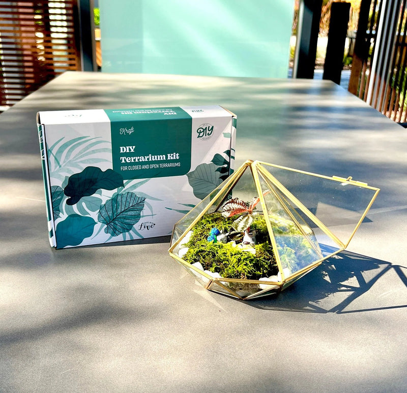Modern Geometric Bioactive Terrarium Workshop - KraftStories