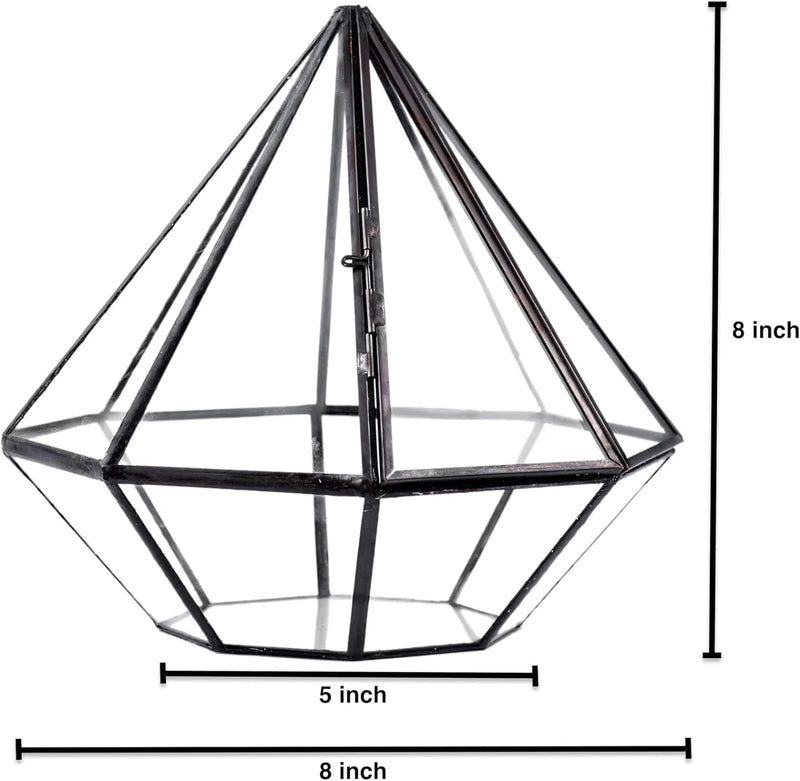 Modern Geometric Bioactive Terrarium Workshop - KraftStories