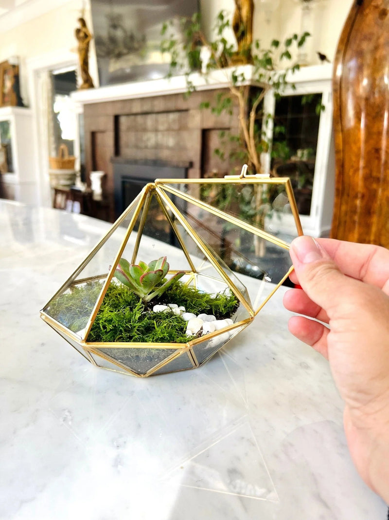 Modern Geometric Bioactive Terrarium Workshop - KraftStories
