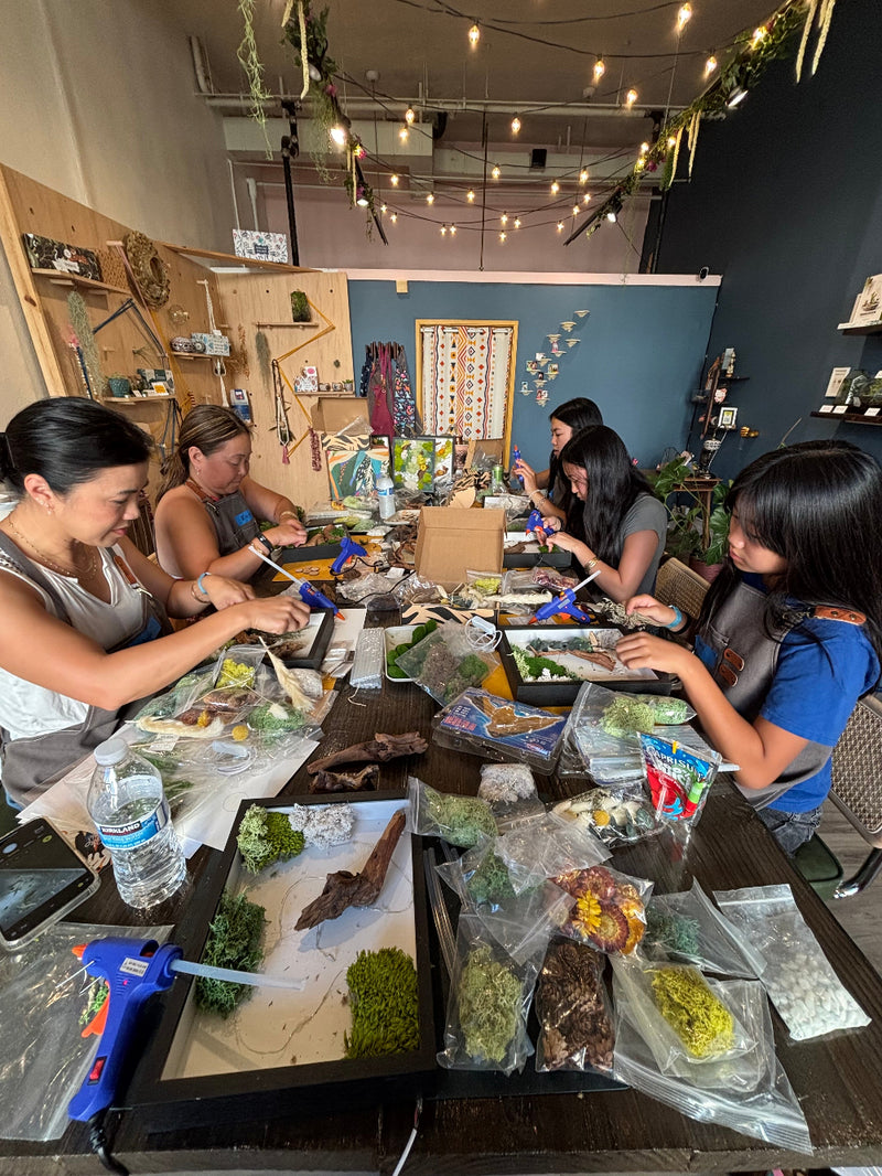 moss wall art workshop at KraftStories Hawaii