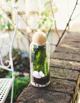 A closed glass terrarium kit with moss, rocks, and a wooden cap, displayed on a rustic wooden surface with a blurred greenery background.