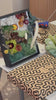 Moss Wall Art Workshop in Irvine
