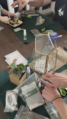 Build Your Mini Garden