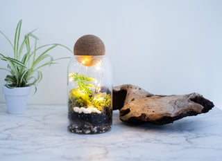Medium Glass Jar