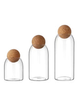 Glass Terrarium with Cork - Close-up view of three sealed glass containers with cork lids, ideal for creating self-sustaining ecosystems.