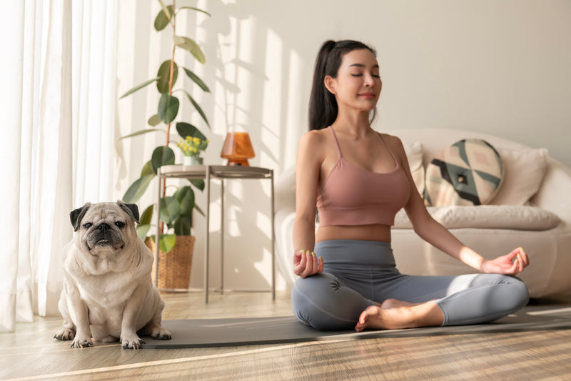 The Art of Breathing: Mindful Breathwork for Calm, Clarity & Balance
