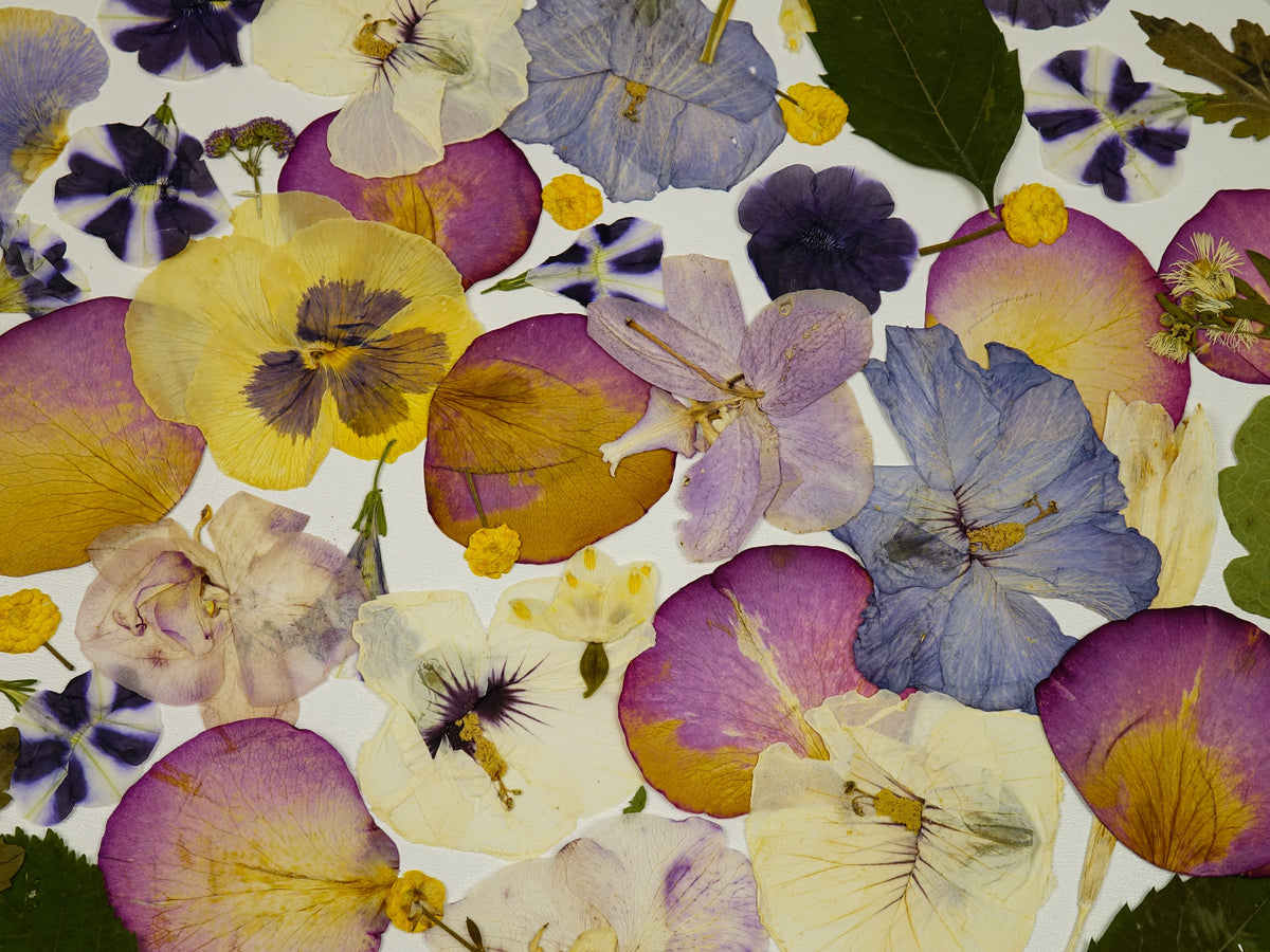 Pressed Flower Frame Class in Rochester Hills