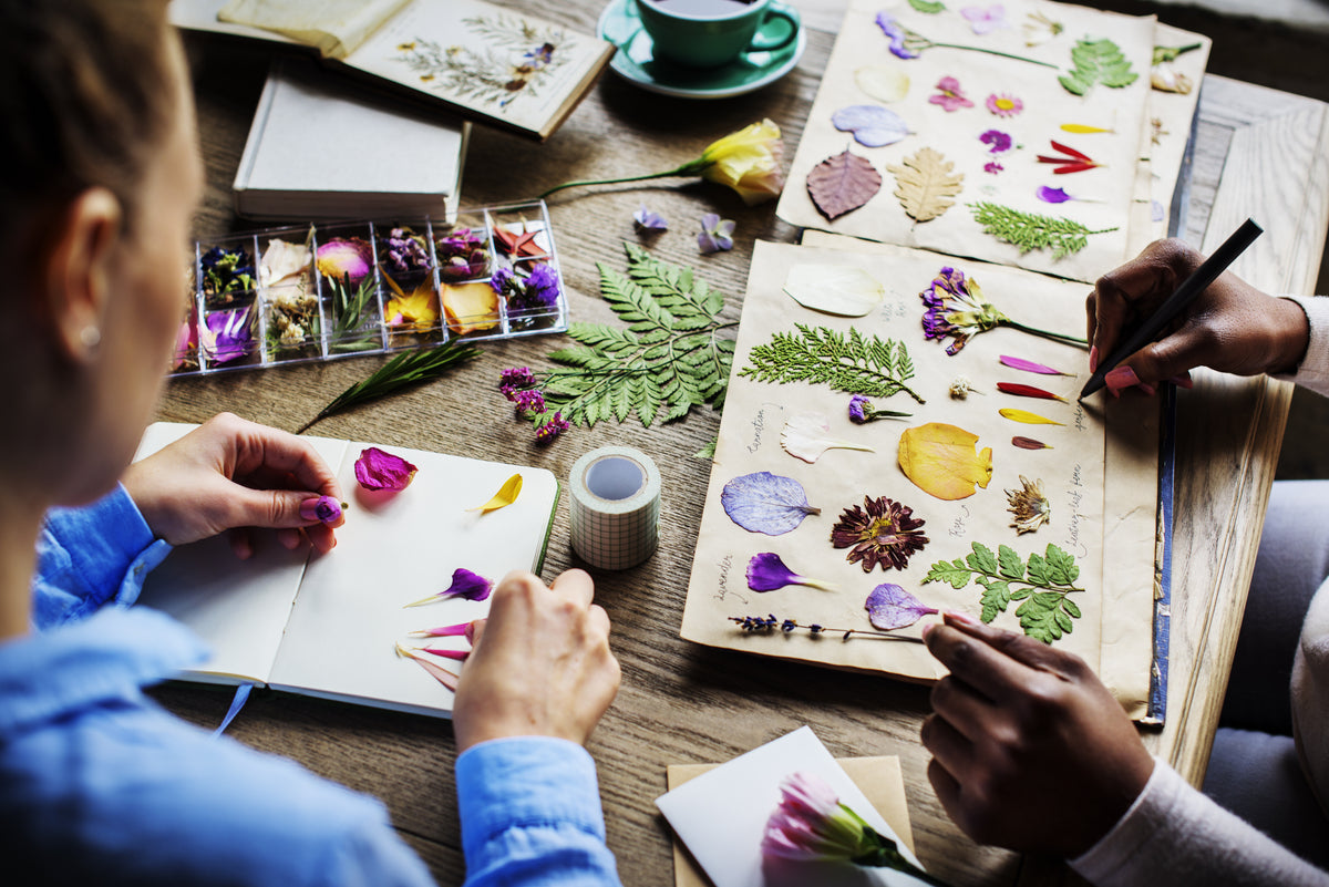 Pressed Flower Frame Class in Rochester Hills