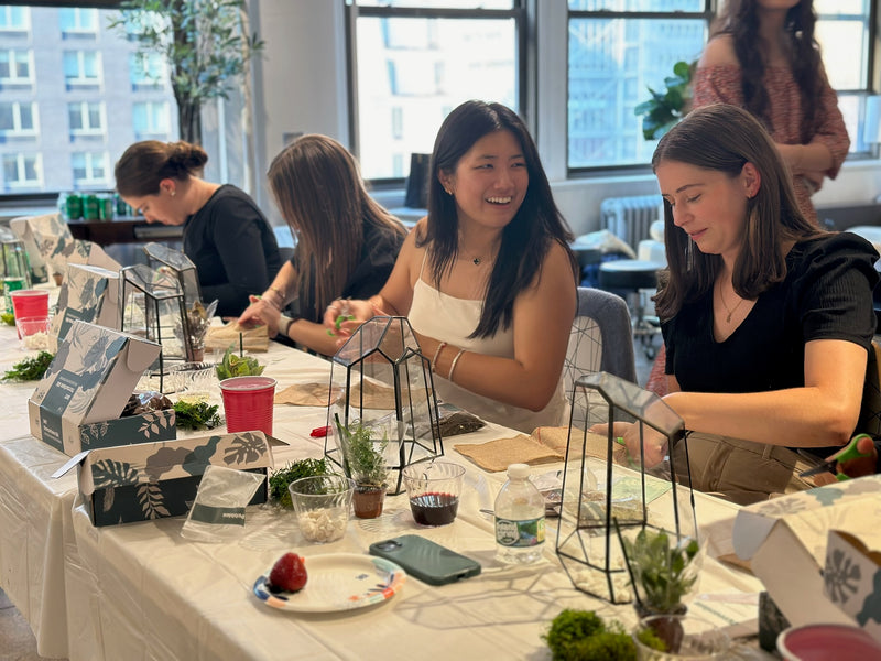 Sip and plant terrarium building session inside FiDi studio in NYC.