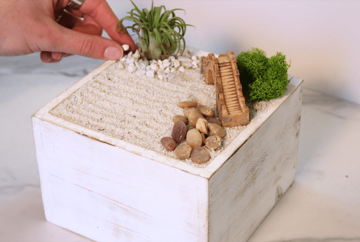 Hand placing an air plant into a white zen garden tray