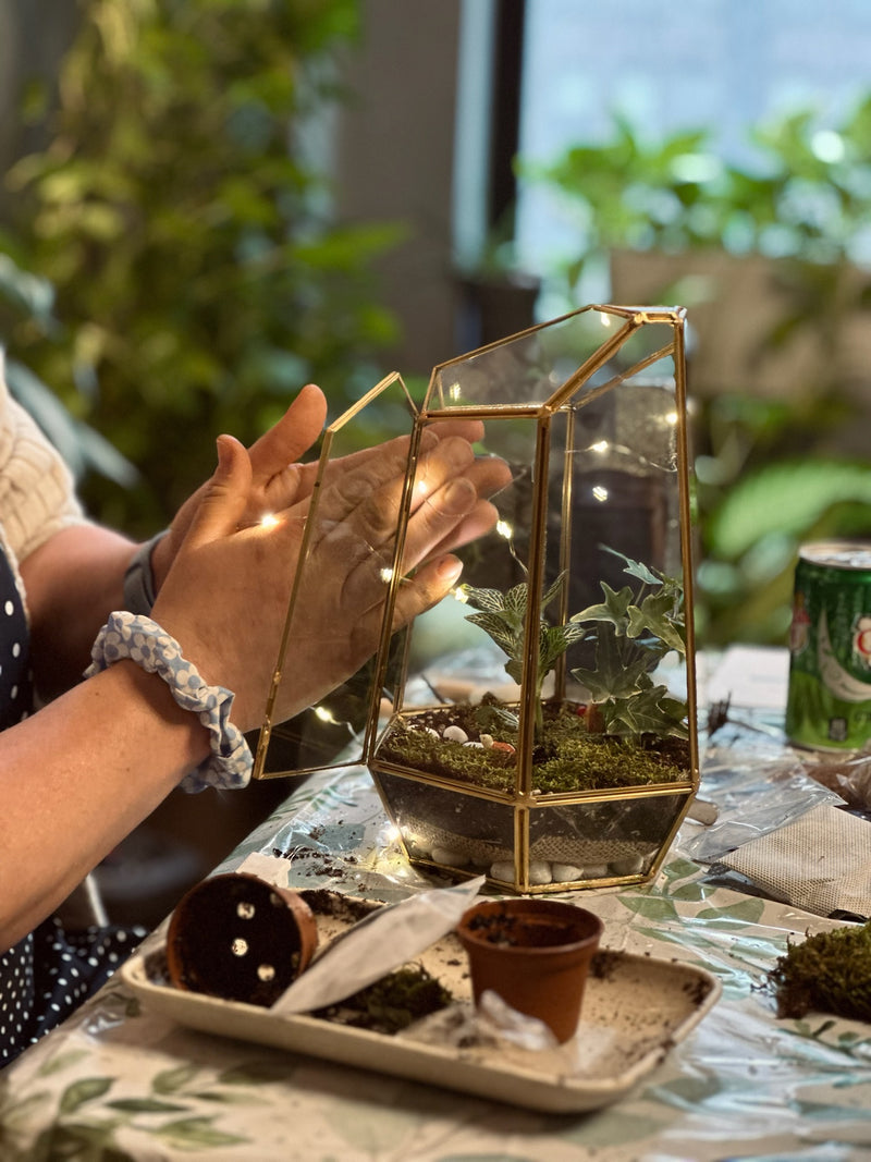 Sip & Make a Terrarium