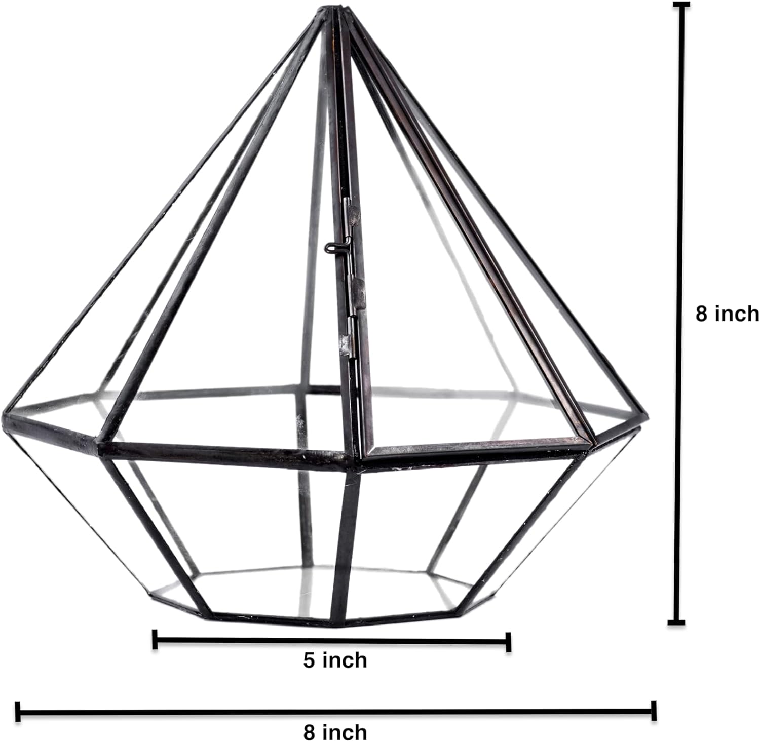 A modern, geometric glass terrarium kit in a diamond shape with a convenient door, designed for a self-sustaining miniature ecosystem featuring moss and tropical plants.