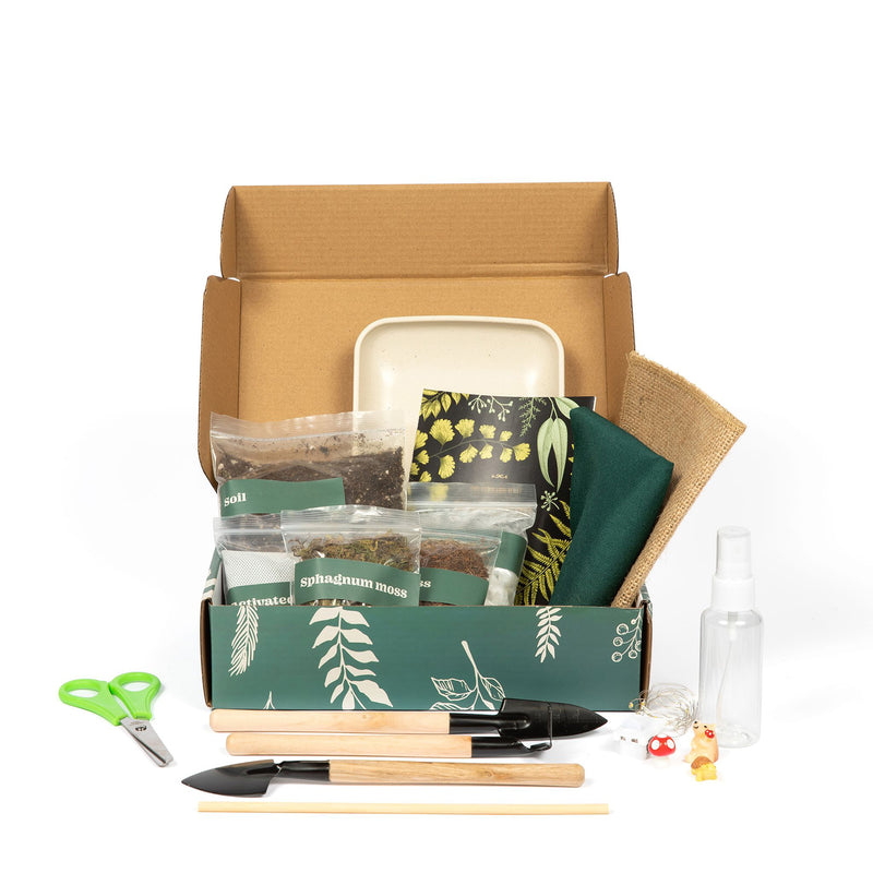 KraftStories terrarium kit