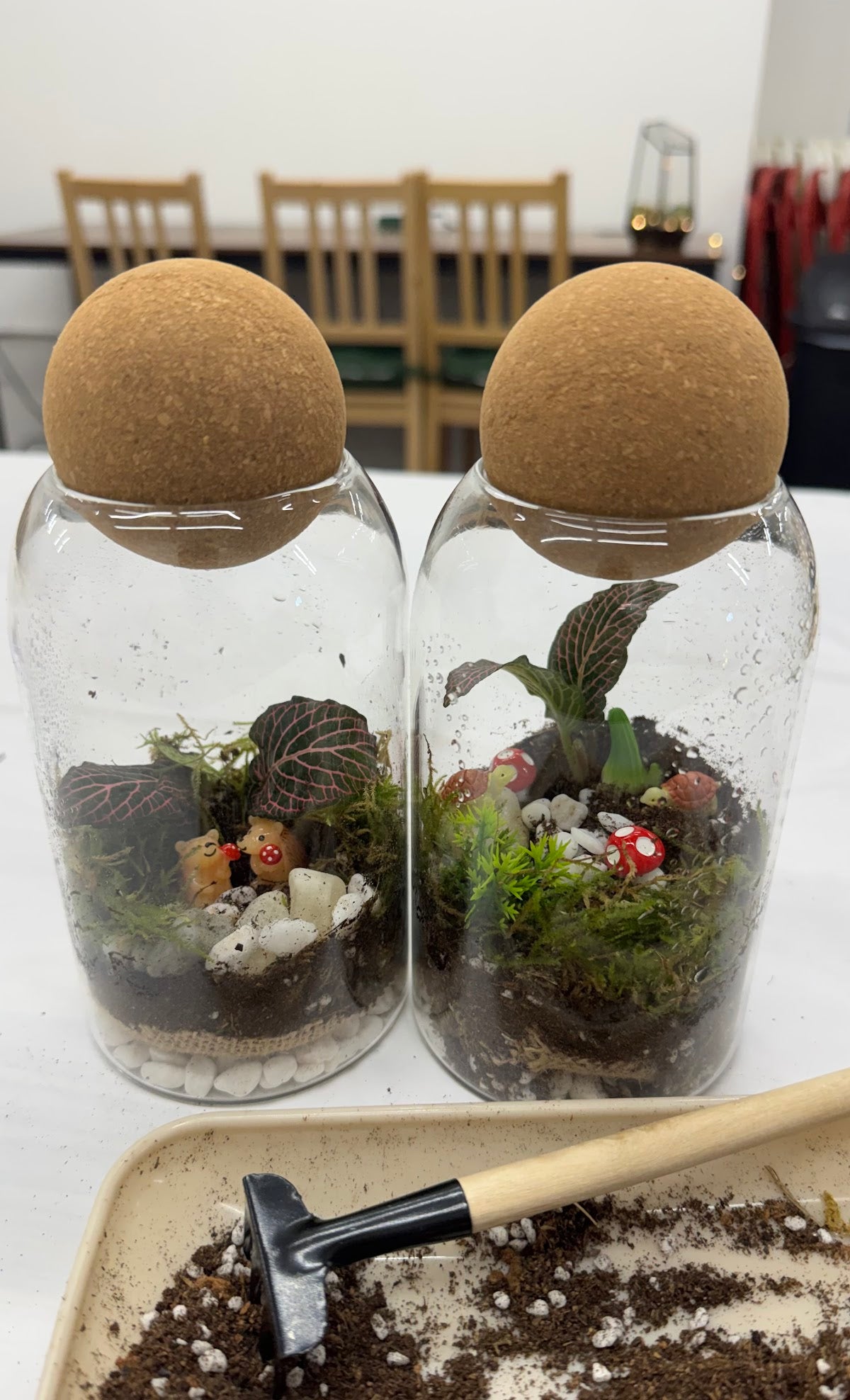 Build Your Living Ecosystem