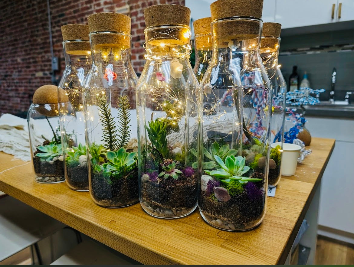 Closed terrarium workshop in San Francisco Financial District