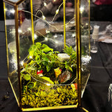 participant's terrarium after a terrarium workshop