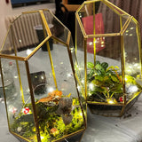 participant's terrarium after a terrarium workshop