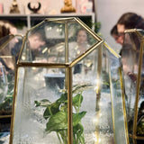 participant's terrarium after a terrarium workshop