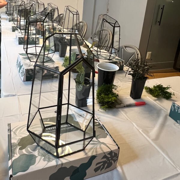 Arts & Craft Class New York, birthday activity, team building in nyc, Wardian Case Terrarium Workshop in NYC - KraftStories