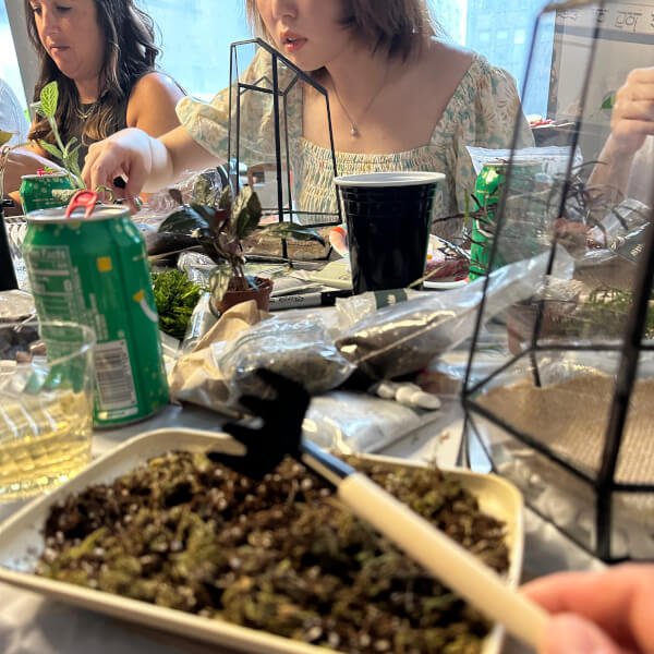 Arts & Craft Class New York, birthday activity, team building in nyc, Wardian Case Terrarium Workshop in NYC - KraftStories