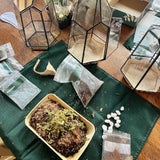 customer review photo after terrarium workshop