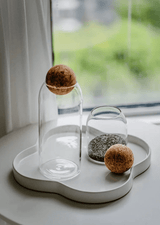 Glass terrarium with self-sustaining ecosystem, featuring a glass container, cork lids, and natural elements like stones and plants.