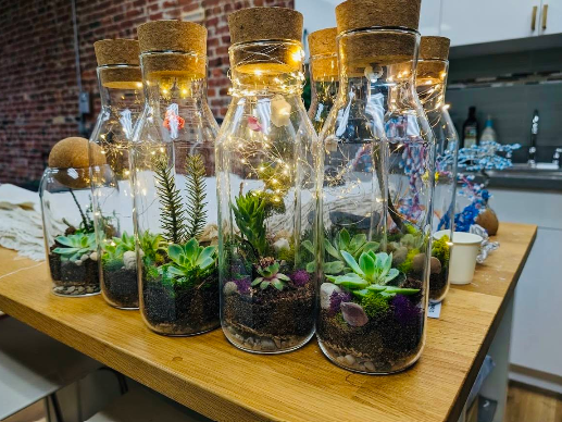 Terrariums with fairy lights