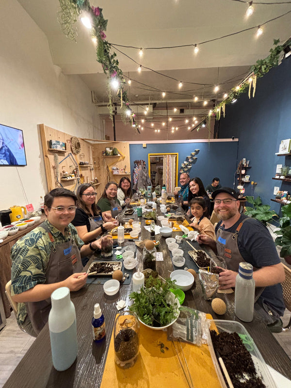 Terrarium team building session