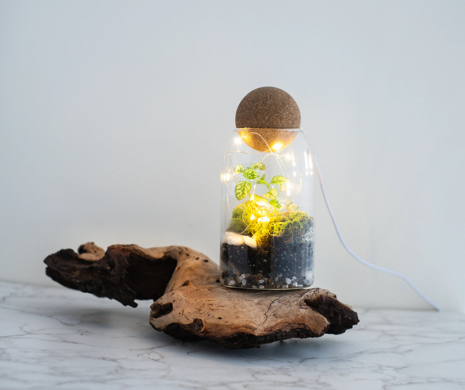 Virtual team building event for global teams, private bookings, Self Sustaining Terrarium Workshop - KraftStories