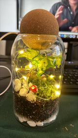 A finished terrarium with green plants and moss inside a glass container, created in a virtual terrarium workshop for teams.