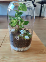 Green plants and moss arranged in a glass container, completed during a virtual terrarium workshop for teams.