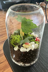 A simple terrarium with moss and plants inside a clear glass jar from a virtual terrarium workshop for teams.